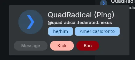 An image of a user popover, showing profile picture, user ID, pronouns, timezone, and "Message", "Kick", and "Ban" buttons